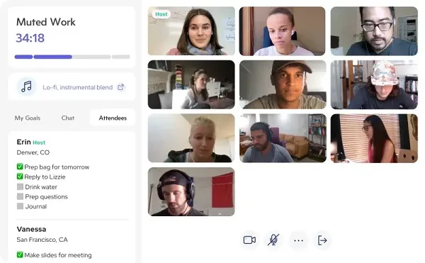 A screenshot of a Flow Club working session.